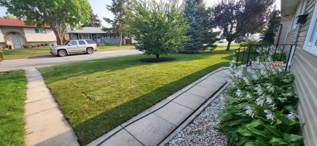 Well-maintained Winnipeg front yard lawn with garden beds and walkway