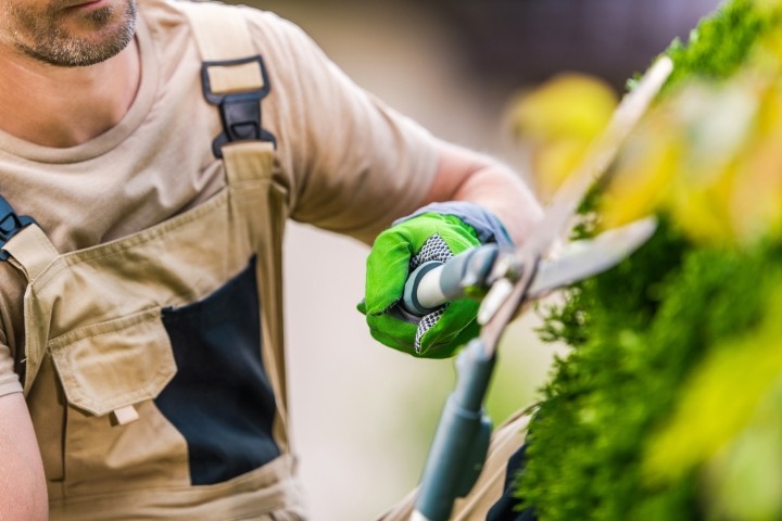 landscaping services in winnipeg